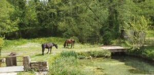 Echo-terre le petit moulin de Fanny